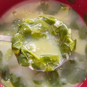 kella malokok daun kelor