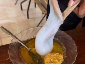 Filosofi Papeda dan Ikan Kuah Kuning: Simbol Kebersamaan Keluarga Timur