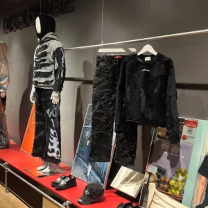 Zona Kreatif Disclosure